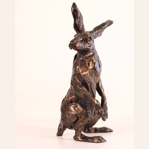 Hare Study and alert Hare in Bronze by kate Denton