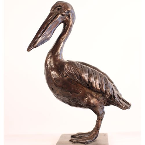 Pelican in Bronze by Kate Denton